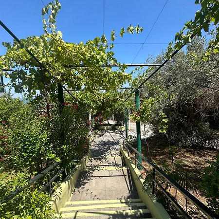 Xristina Appartment Plaka Litochorou Bagian luar foto
