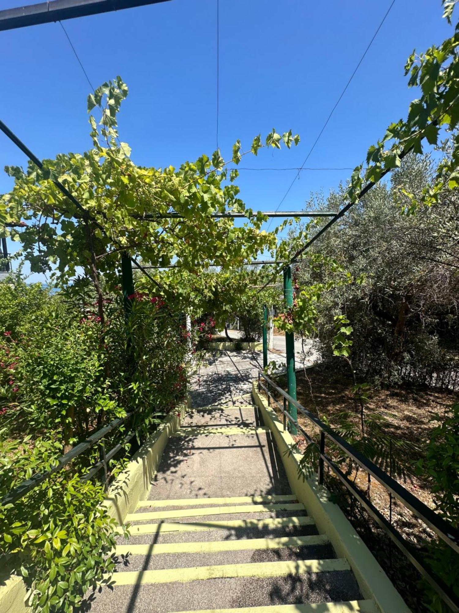 Xristina Appartment Plaka Litochorou Bagian luar foto